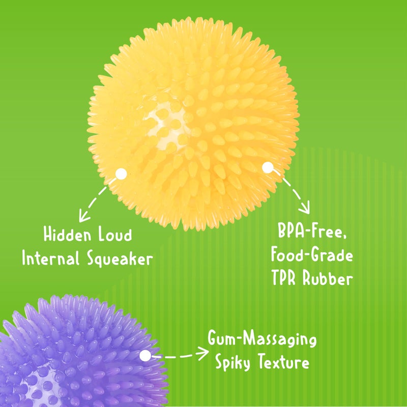 Gnawsome Medium Squeaker Ball Dog Toy, Medium 3.5", Colors will vary, All Breed Sizes - Image 4